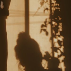 Meet your Posher, Casey